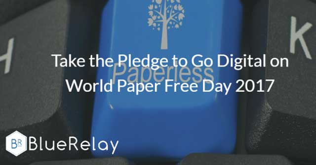 Closeup photo of a custom keyboard key that is light blue and says paperless in white instead of a letter, and has an image of a tree in white